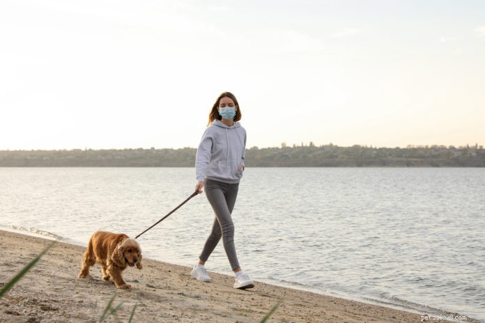 5 conseils de distanciation sociale pour promener votre chien