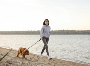 5 dicas de distanciamento social para passear com seu cachorro