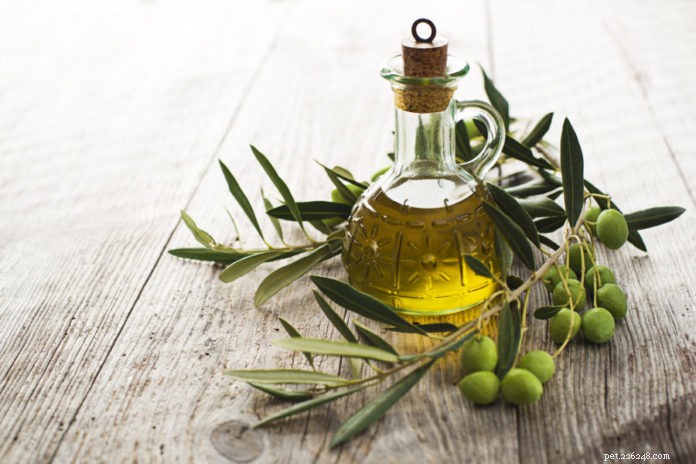 Extra panenský olivový olej pro psy