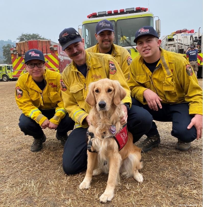 Le chien Sweet Therapy offre un soulagement indispensable aux pompiers qui combattent les incendies sur la côte ouest