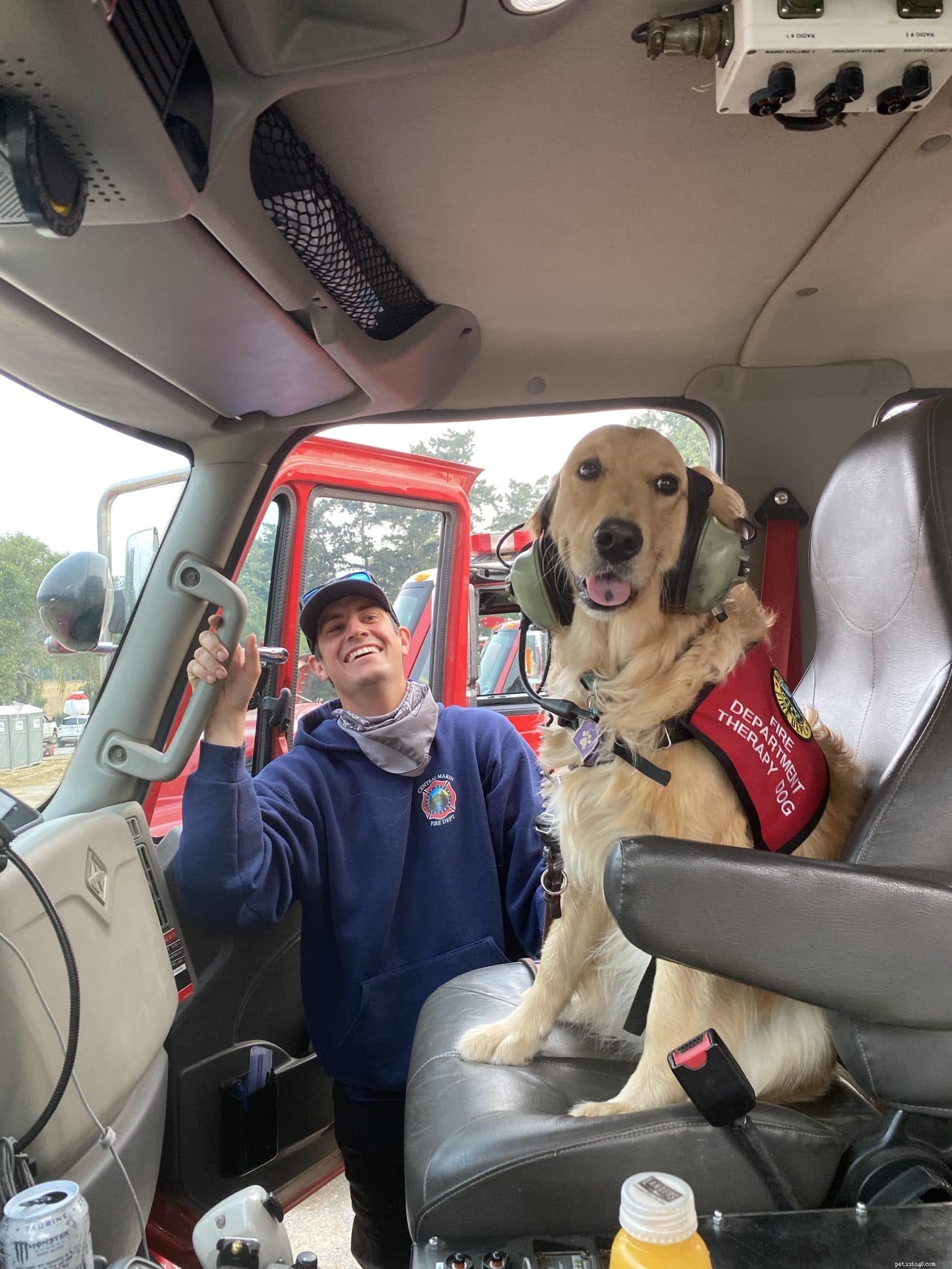 Il cane da terapia dolce offre il necessario soccorso ai vigili del fuoco che combattono gli incendi della costa occidentale