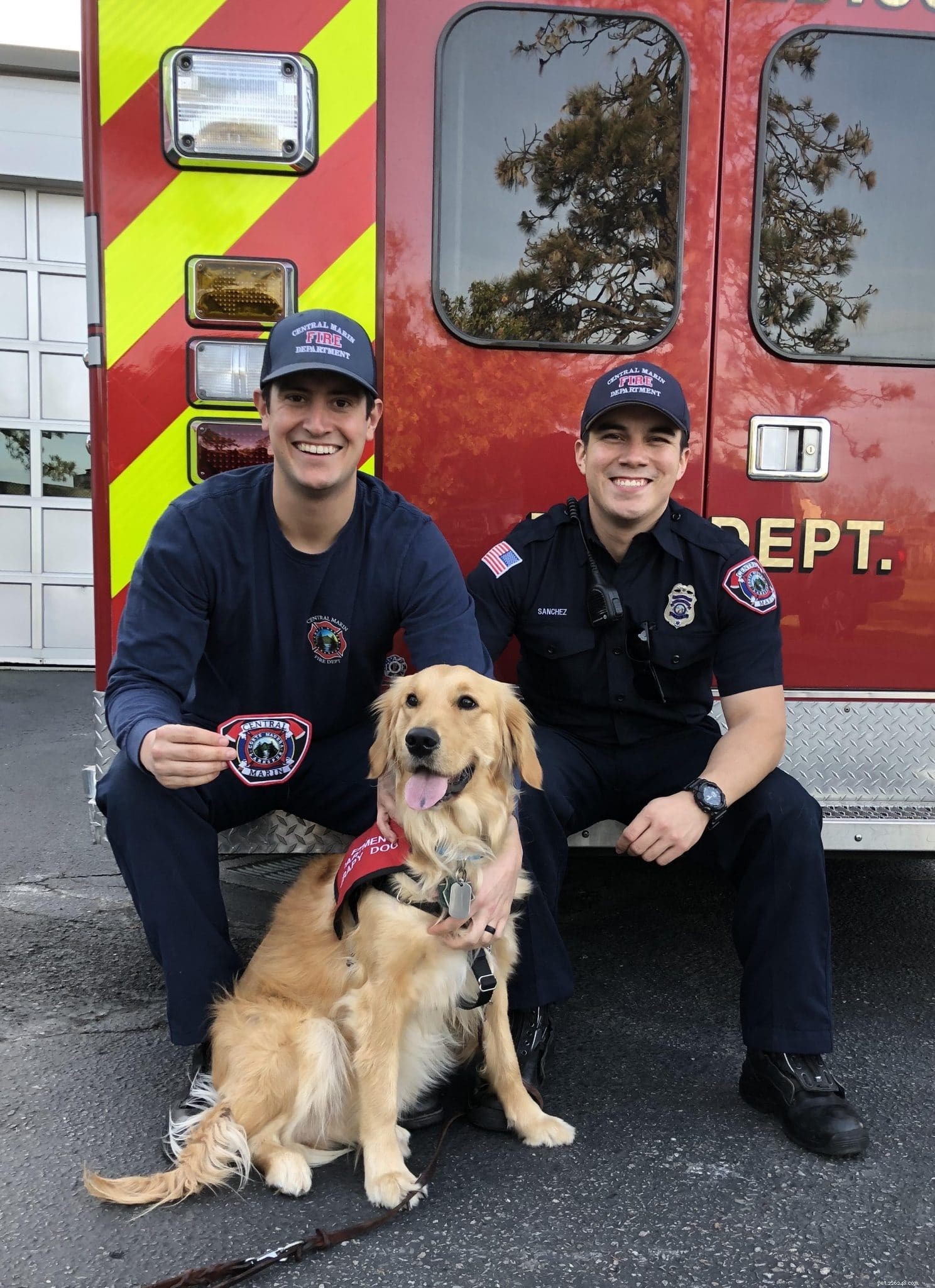 Le chien Sweet Therapy offre un soulagement indispensable aux pompiers qui combattent les incendies sur la côte ouest