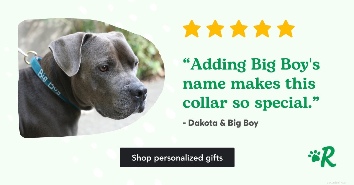 Un adorabile nuovo libro ti offre uno sguardo sui veri sentimenti del tuo cane