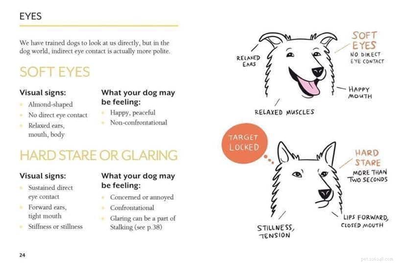 Underbar ny bok ger dig en inblick i din hunds sanna känslor