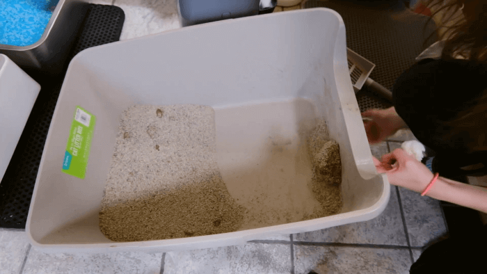 Hur du rengör kattens kattlåda enligt en kattbeteendeman