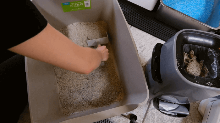 Como limpar a caixa de areia do seu gato de acordo com um especialista em comportamento de gatos