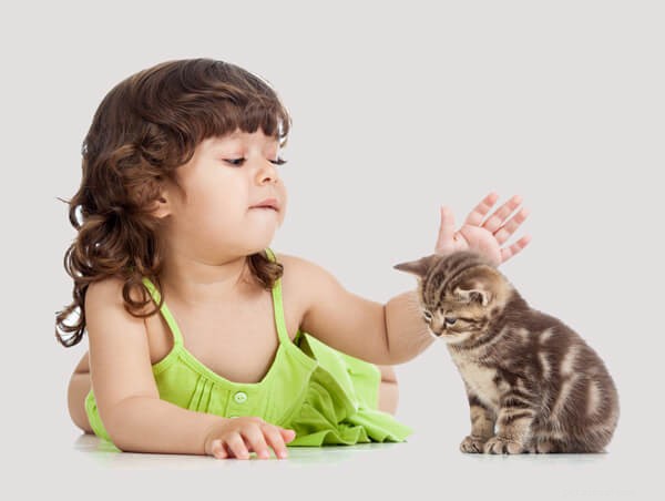 Chats et enfants – Règles pour jouer en toute sécurité