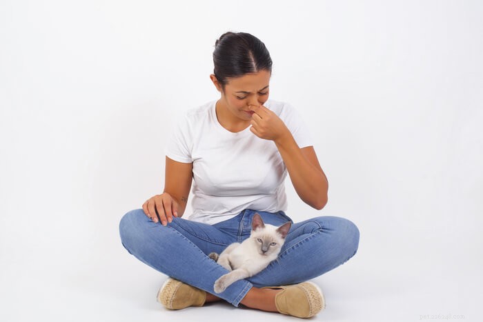 4 veelvoorkomende oorzaken van winderigheid bij katten