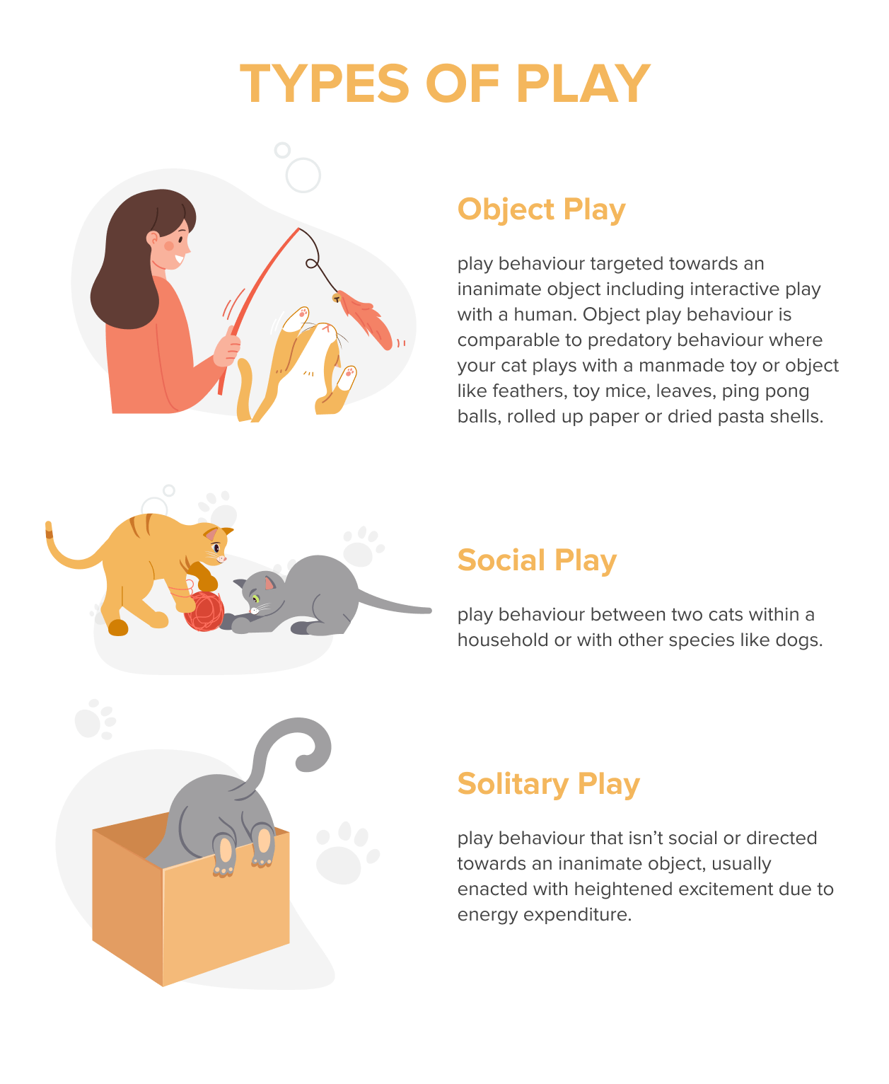 Como brincar com segurança com um gato, de acordo com um especialista em comportamento de gatos