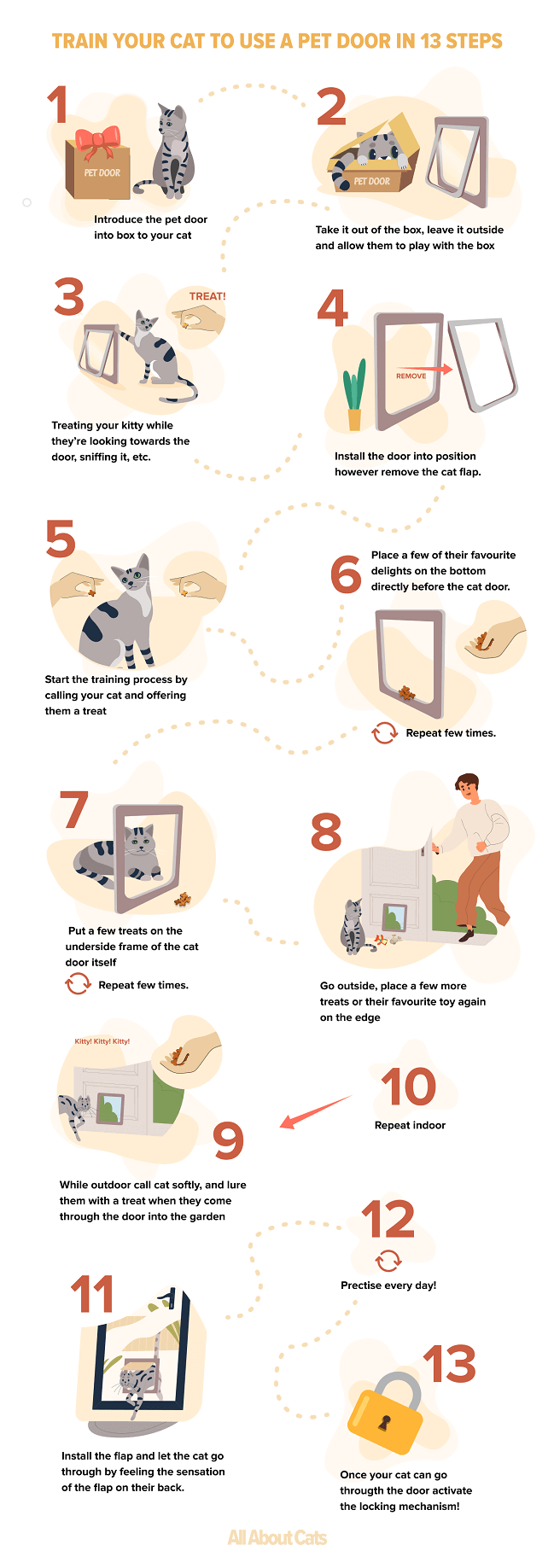 Hur du tränar din katt att använda en husdjursdörr