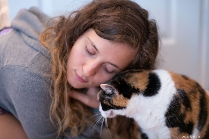 6 незаметных признаков того, что ваша кошка вас любит