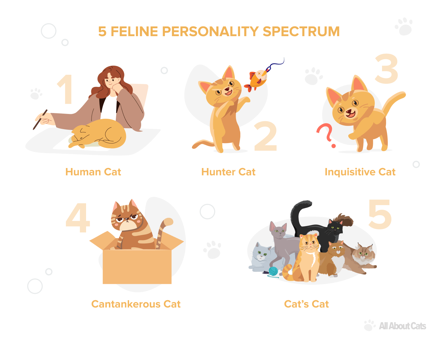 고양이의 성격 유형은 무엇입니까?