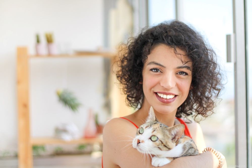 Mataggression hos katter:Vad du behöver veta?