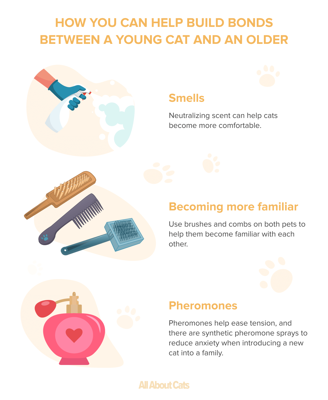 Por que os gatos se limpam? Razões pelas quais os gatos se arrumam socialmente