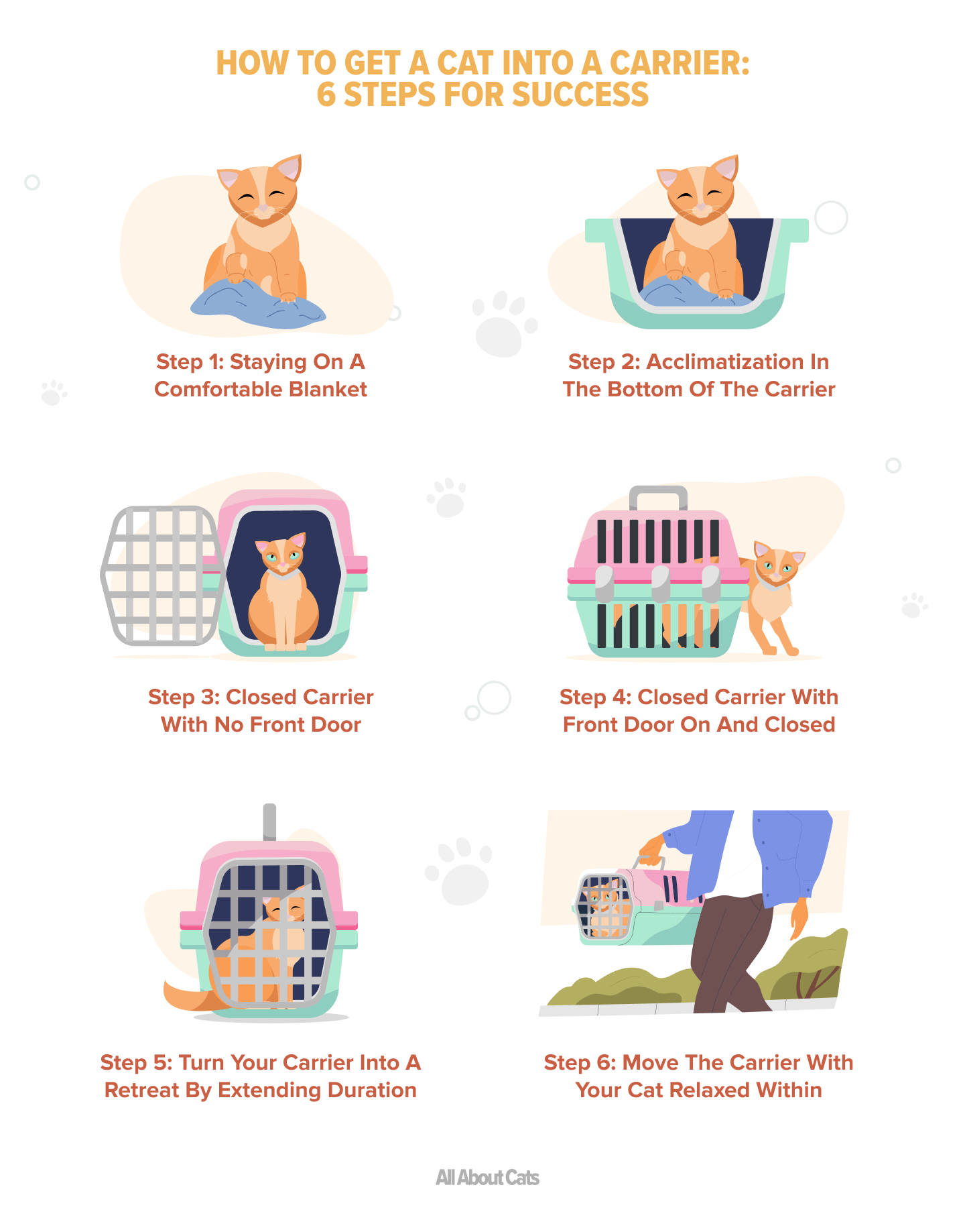 Hur man får en katt i en bärare:6 steg för framgång