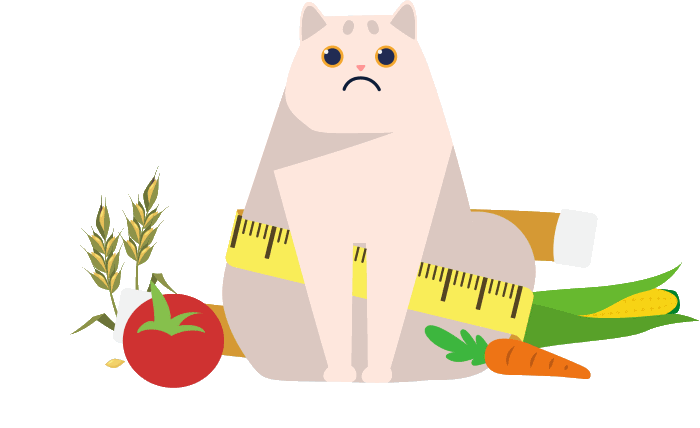 고양이 당뇨병:진단, 치료 및 완화에 대한 설명