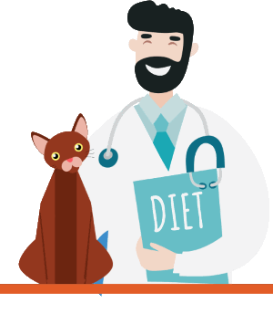 Kočičí diabetes:diagnostika, léčba a remise demystifikována