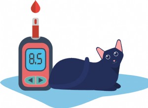 Feline Diabetes:Diagnosis, Treatment, and Remission Demystified