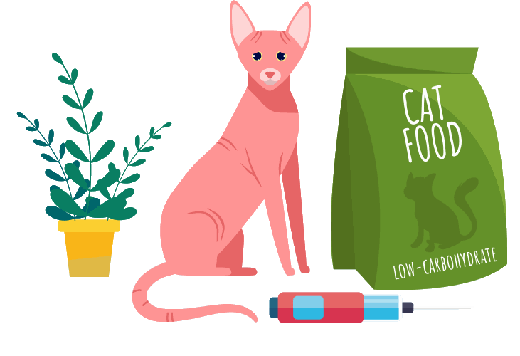 고양이 당뇨병:진단, 치료 및 완화에 대한 설명