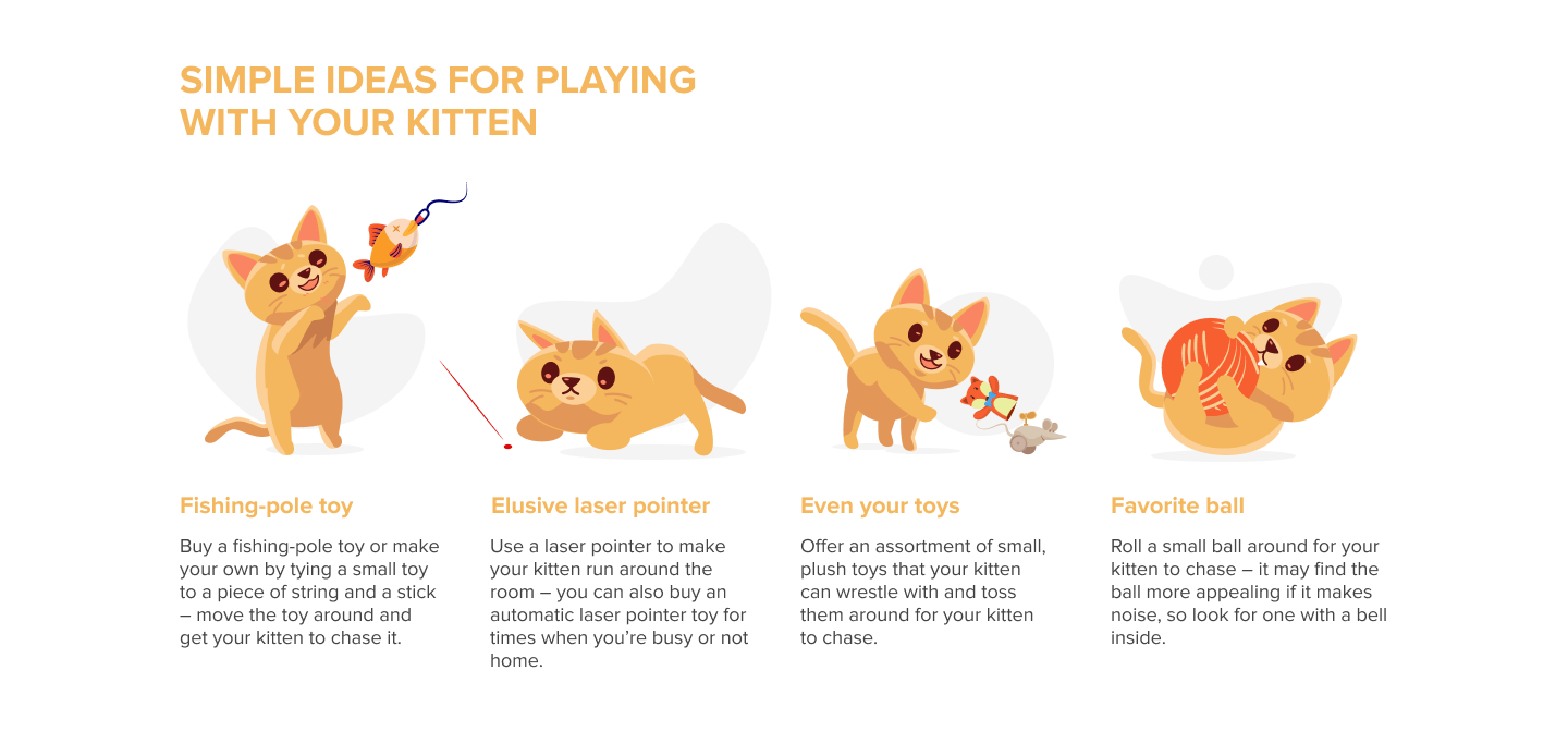 子猫の世話をする方法：完全なガイド 