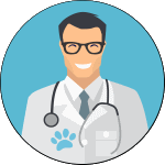 Benadryl för katter:dosering, säkerhet och biverkningar