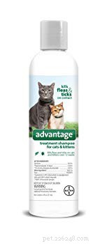 Les 6 meilleurs shampooings anti-puces pour chats