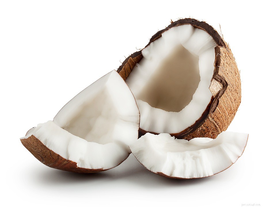 Is kokosolie goed voor katten?