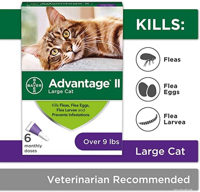 고양이를 위한 장점 II:복용량, 안전 및 부작용