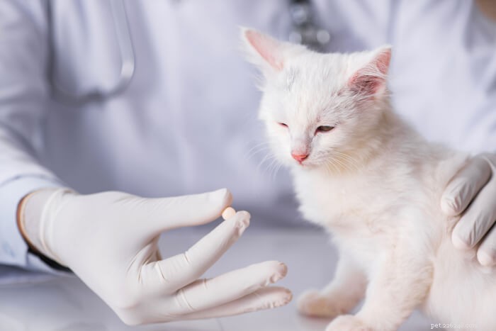 Albon voor katten:dosering, veiligheid en bijwerkingen
