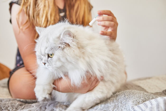 Vantagem para gatos:dosagem, segurança e efeitos colaterais