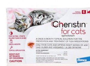 猫用チェリスティン：投与量、安全性、副作用 