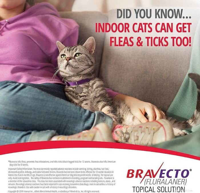 Bravecto voor katten:dosering, veiligheid en bijwerkingen