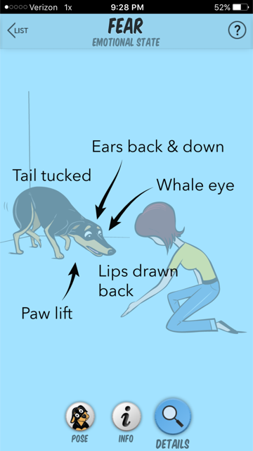 O que significa quando seu cachorro levanta uma pata?