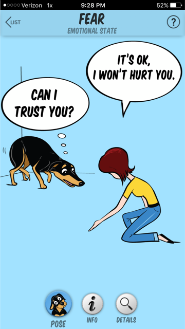 Что означает, когда ваша собака поднимает лапу?