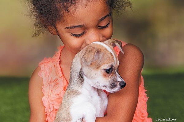 Jak socializovat štěně, abyste mu pomohli vyrůst, aby bylo šťastné