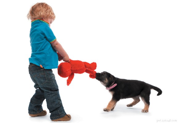 Come smettere di sorvegliare i giocattoli nei cuccioli