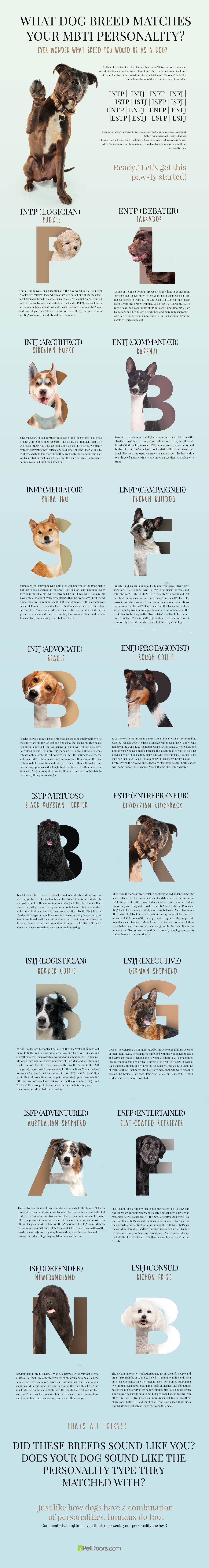 Какая порода собак соответствует вашему характеру MBTI?