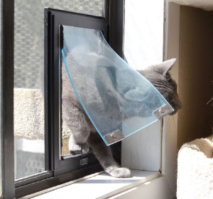 Catios:o compartimento externo seguro para gatos