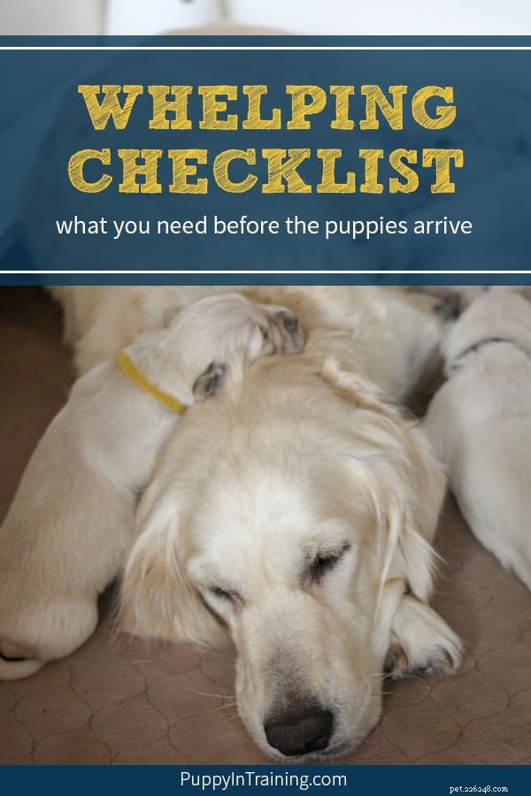 Whelpingchecklista – Vilka tillbehör behöver du innan din hund får en valpkull?