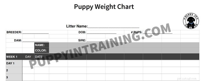 Puppy Gewichtstabel – Hoeveel gewicht moet een pasgeboren puppy per dag aankomen?
