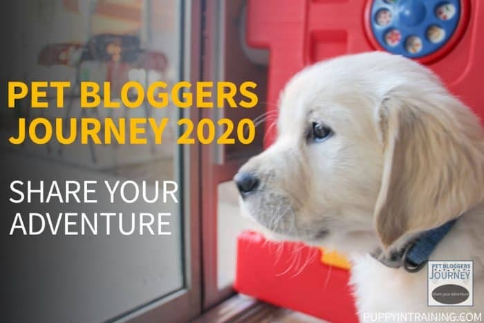 Jornada de blogueiros de animais de estimação 2020