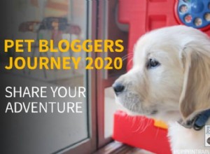 Pet Bloggers Journey 2020