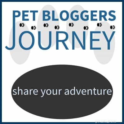 애완동물 블로거의 여정:모험을 공유하세요