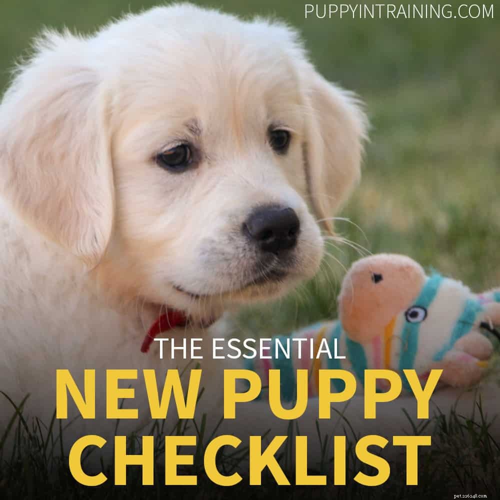 Checklist nieuwe puppy 2021 – ik krijg een nieuwe puppy, wat heb ik nodig?