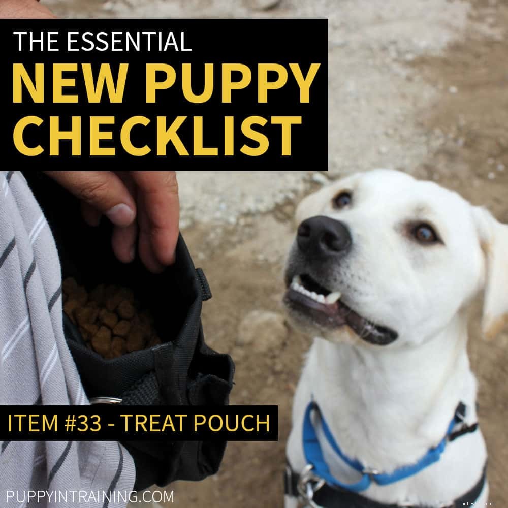 Nový kontrolní seznam pro štěně 2021 – Získávám nové štěně, co potřebuji?