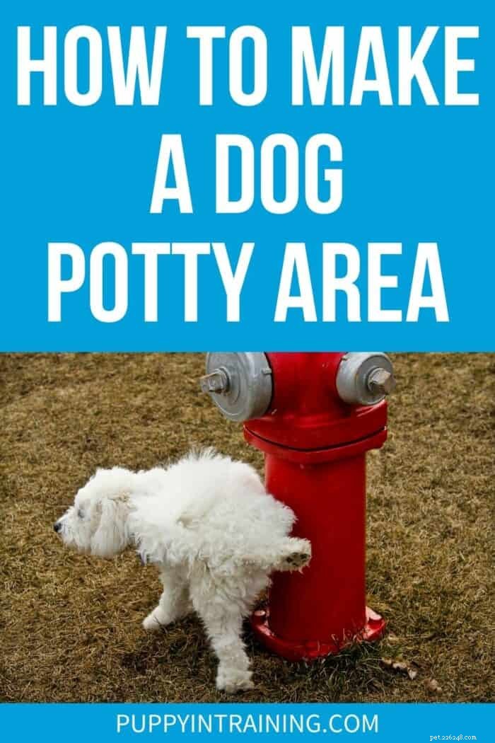 Comment faire une zone de pot extérieur pour chien 