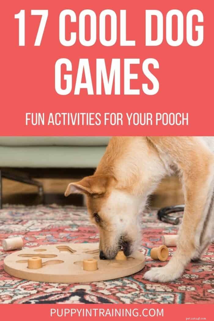 17 fantastici giochi di cani:attività divertenti per te e il tuo cane