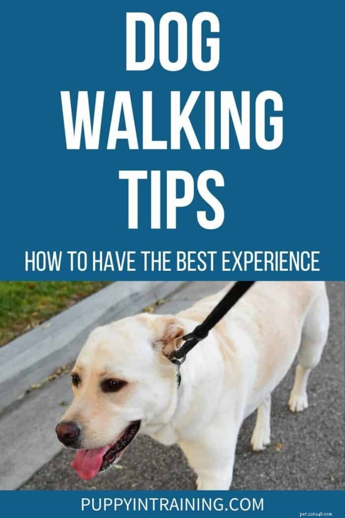 Tips voor het uitlaten van honden:de beste ervaring