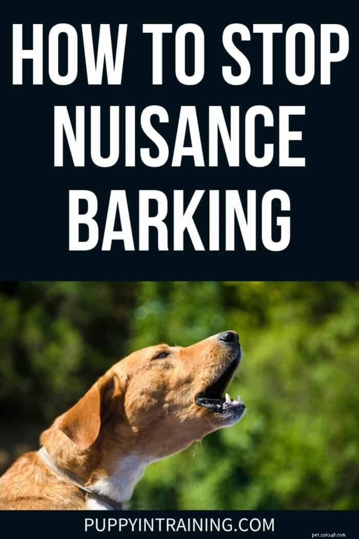 あなたの犬が過度の、迷惑な吠えを防ぐ方法 