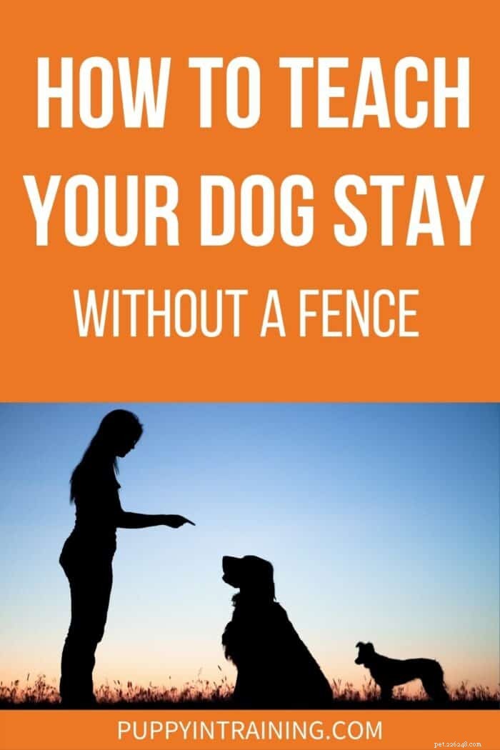 Como você treina um cachorro para ficar em um quintal sem cerca?